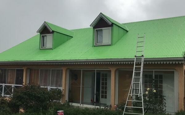 rénovation toiture nettoyage traitement de la rouille étanchéité Peinture thermique et Régulatrice de chaleur-24